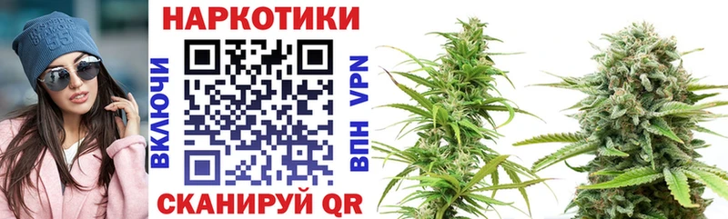 Виды наркотиков купить Волжск Марихуана  Мефедрон  АМФ  ГАШ  Псилоцибиновые грибы  A-PVP 