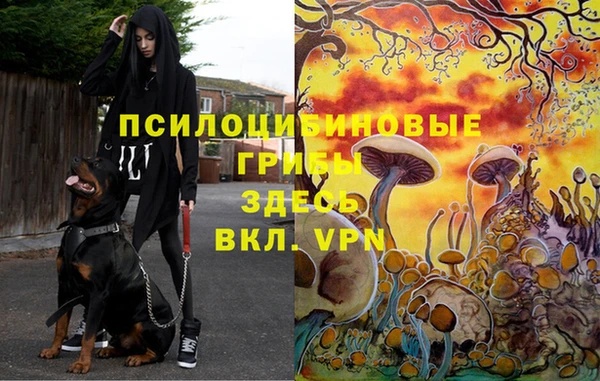 MDMA Premium VHQ Белокуриха