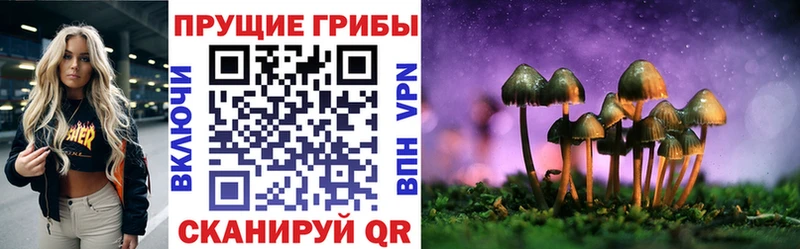 купить наркотики цена  Волжск  MEGA как войти  Галлюциногенные грибы мухоморы 